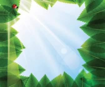 Cartoon Green Leaf Background Vector