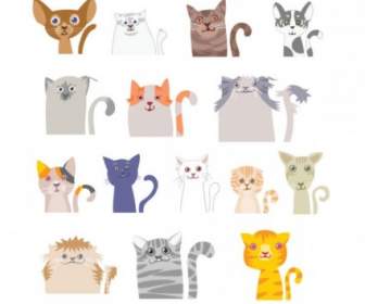 Cartoon Illustrations Cat Vector