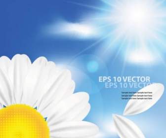 Cartoon Sunflower Background Vector