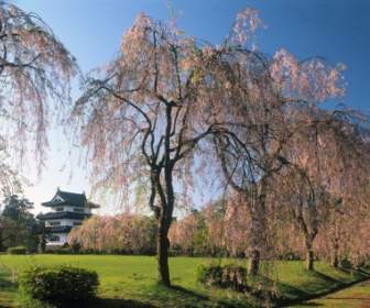 ปราสาทฮิโรซากิวอลล์เปเปอร์ญี่ปุ่นโลก