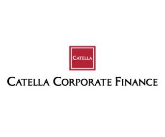 Catella 公司財務