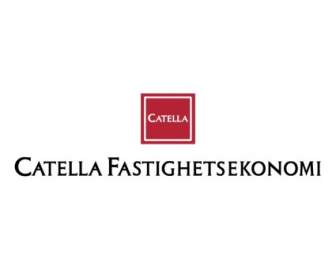 Fastighetsekonomi Catella