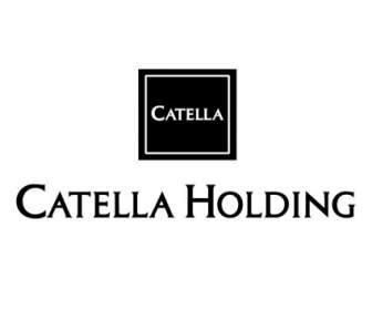 Catella 控股