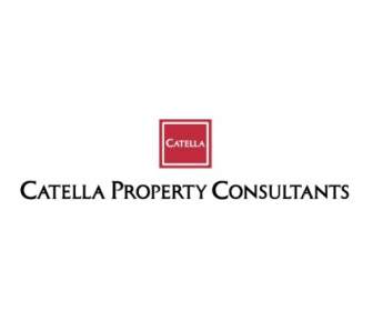 Konsultan Properti Catella