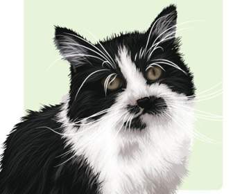 кошки векторное изображение