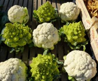 Cauliflower Kohl Cabbage
