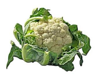 cauliflower kohl cheese cabbage