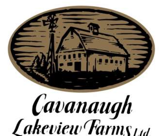 อย่างไร Cavanaugh เลควิวฟาร์ม