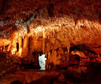 Grotta In Barbados
