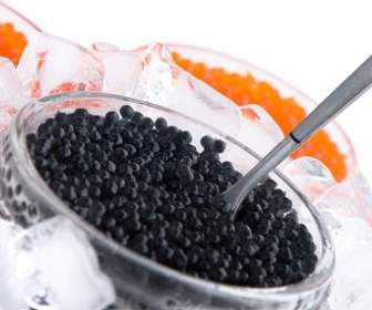 Imagens De Caviar