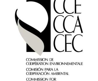 พบกับ Cec Cca Cce