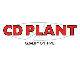 CD Plante