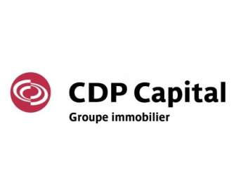 Cdp 자본 Groupe Immobilier