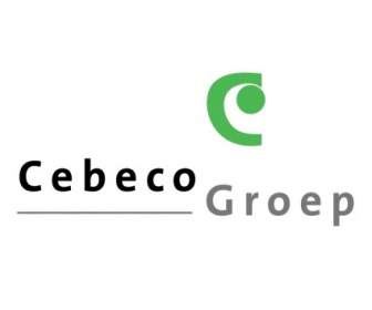 Cebeco Groep