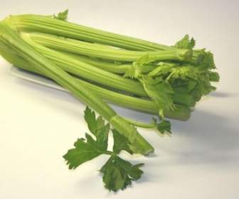 セロリの野菜の健康