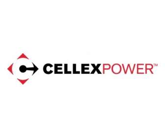 ผลิตภัณฑ์ไฟฟ้า Cellex