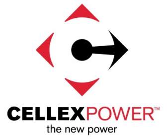 Produk Power Cellex