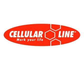Linha Celular