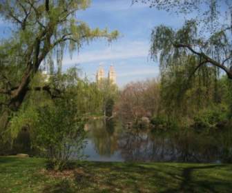 Central Park En Nueva York