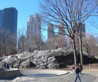 Grattacieli Di New York City Central Park