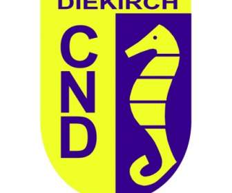 سيركل دي Diekirch السباحة