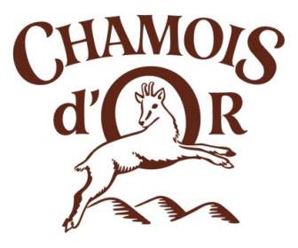 Chamois Dor