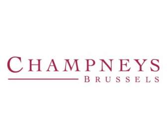 Champneys Брюссель