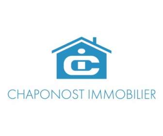 Chaponost Immobilier