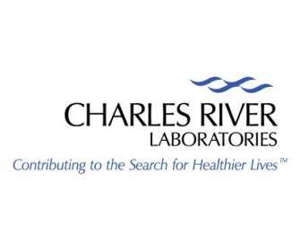 Sungai Charles Laboratorium