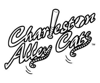 Gatos De Aléia De Charleston