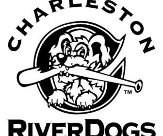 Чарлстон Riverdogs