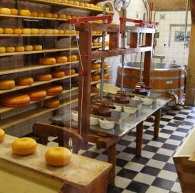 チーズ生産