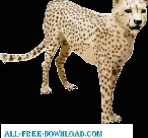 Cheetah Vektor