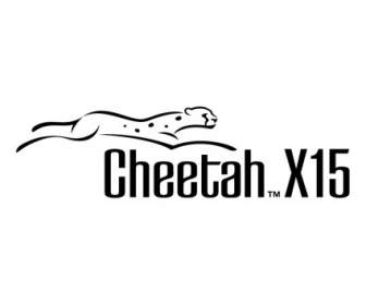 Cheetah X15