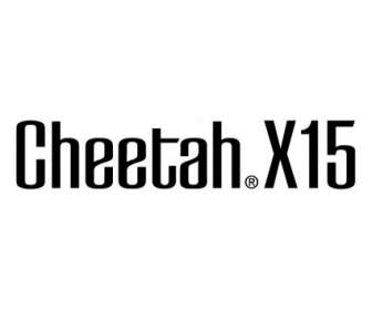 Cheetah X 15
