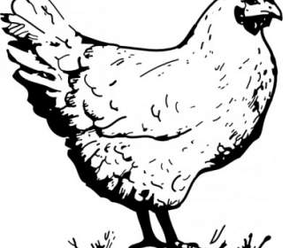 鶏のクリップアート