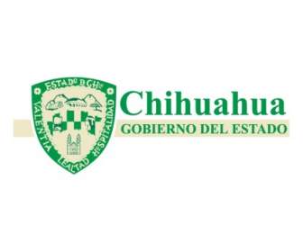 Chihuahua địa Phương Del Estado