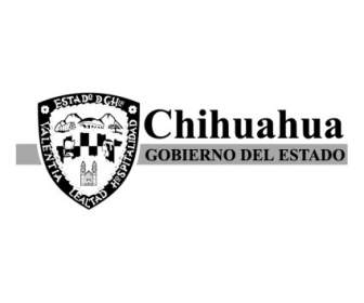Chihuahua địa Phương Del Estado