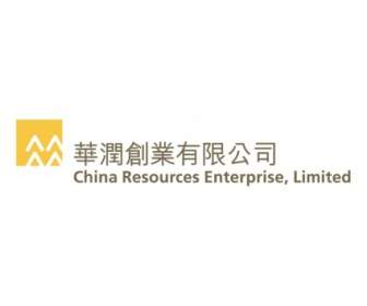 中国資源企業
