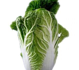 chinese cabbage salad leaf lettuce
