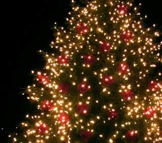 Weihnachten Weihnachtsbaum Lichterkette