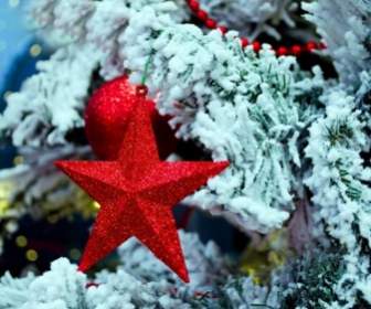 クリスマスの星