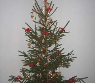 árvore De Natal