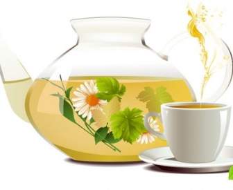 Vettore Di Crisantemo Tè Tè