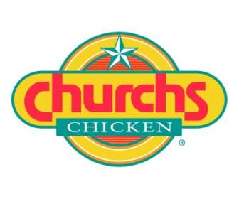 دجاج الكنائس