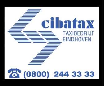 Cibatax Eindhoven