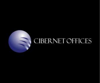 สำนักงาน Cibernet