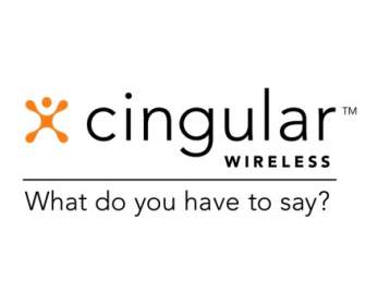 Cingular Wireless
