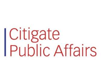 Citigate Public Affairs
