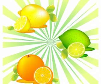 ผลไม้ส้ม